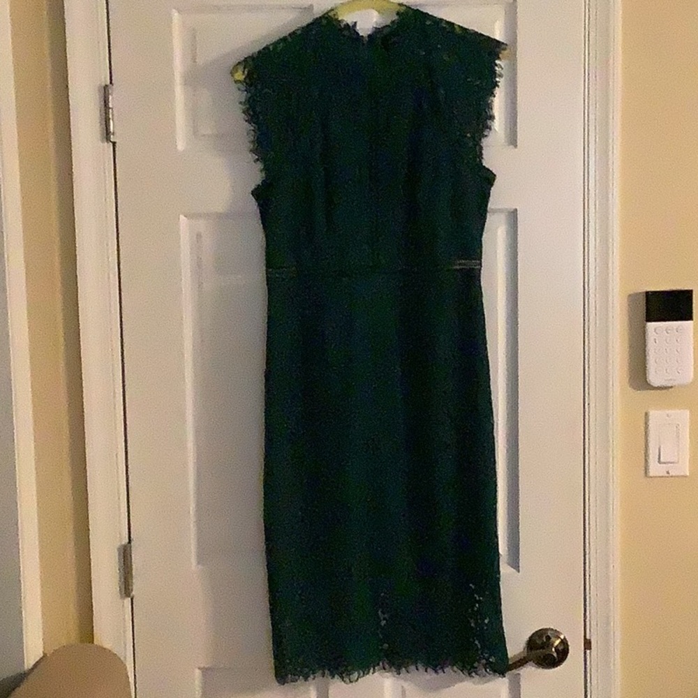 Bardot lace panel dress in hunter/emerald green EUC - Picture 5 of 16